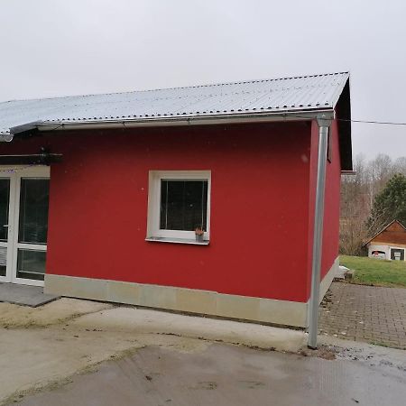 Na Cervene Louce 4 - Economy Class Cheb Kültér fotó